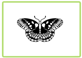 Vlinder sticker design 40