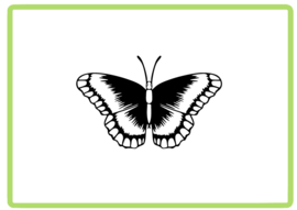 Vlinder sticker design 31