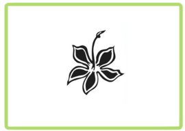 Bloem sticker design 59