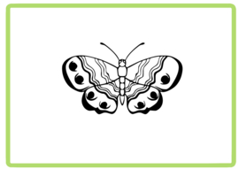 Vlinder sticker design 30