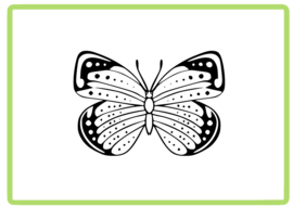 Vlinder sticker design 42