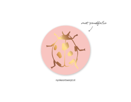Sticker | Lieveheersbeestje | 10 stuks