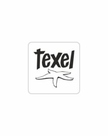 Texel sticker - Zeester