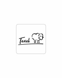 Texel sticker - Schaap Texel