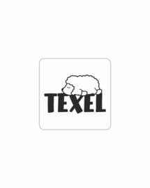 Texel sticker - Schaap ( sleepy )