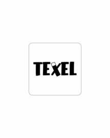 Texel sticker - TEXEL  ( strandpaal )