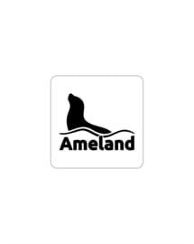 Waddensticker - Ameland zeehond