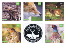 Stickerpakket Ban de jacht!