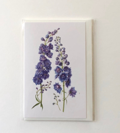 Card Delphinium