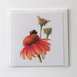 Card 'Bee with Sun Hat'