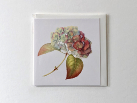 Card 'Hydrangea Autumn'