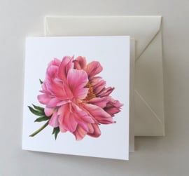 Card Peony 'Coral sunset'