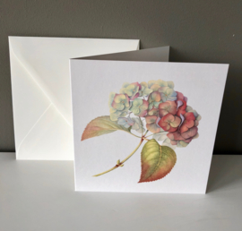 Card 'Hydrangea Autumn'