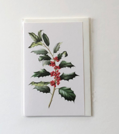 Card Ilex aquifolium