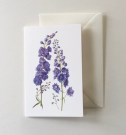 Card Delphinium