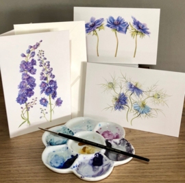 Card Delphinium