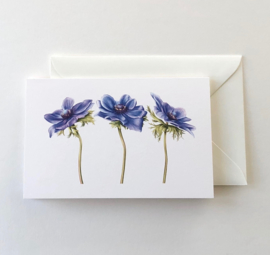 Card Anemone 'Blu Mistral'