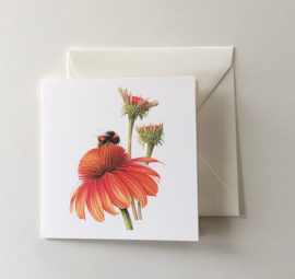 Card 'Bee with Sun Hat'