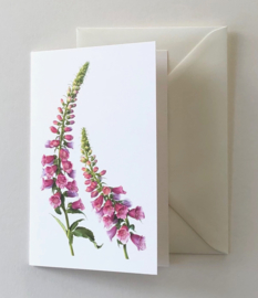 Card Digitalis purpurea