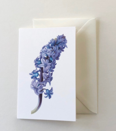 Card Hyacint 'Blue Star'