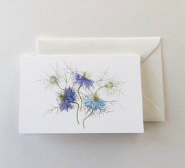 Card 'Love in a Mist'