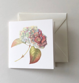 Card 'Hydrangea Autumn'