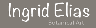 ingrid-elias-botanical-art