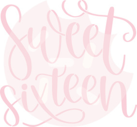 Sweet sixteen  cutter & stencil set