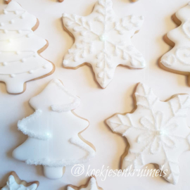Kerst ster cookie cutter