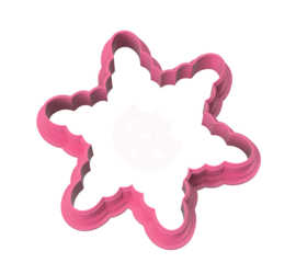 Kerst ster cookie cutter