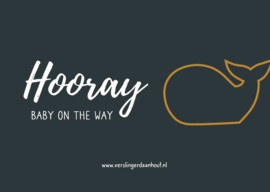 BON | Hooray! Baby on the way