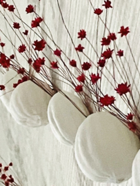 Poppy Wall Design | Maanbol wandvaasjes set van 3