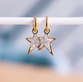 Oorbellen Rockstar Silver