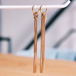 Oorbellen Long Tassel