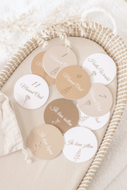 Milestone schijven Beige Nature