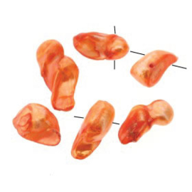 zoetwaterparel nugget oranje assortie maten p/25