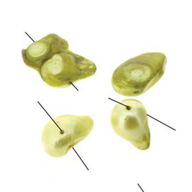 zoetwaterparel nugget groen assortie maten p/25