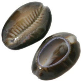 hanger cowrie schelp open +/- 25 x 18 mm p/20