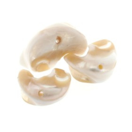 Schelpkraal naturel +/- 12x18mm p/25