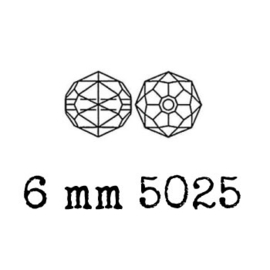 5025 kraal rond/ovaal facet 6 mm crystal (001) p/10