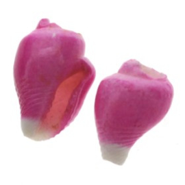 nasa schelp kraaltje +/- 100 stuks  (10x6mm) roze  p/100