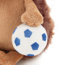 Egeltje met voetbal