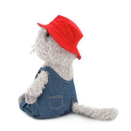 Kat in overall en rode hoed