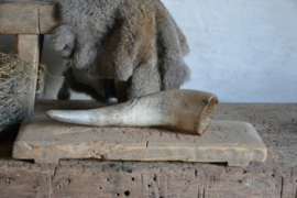 Mooie decoratieve hoorn