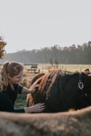 Inschrijven PAARD MFR basismodule, start 27 oktober 2025 (Weert)