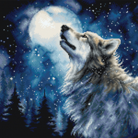Borduurpakket - Midnight Snowfall - Leti Stitch