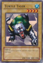 Turtle Tiger - lob-e018