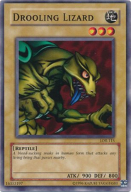 Drooling Lizard - lob-e093