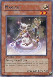Magicat - anpr-en031
