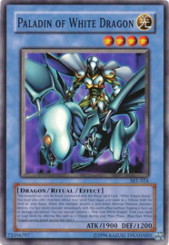 Paladin of White Dragon - ske-024